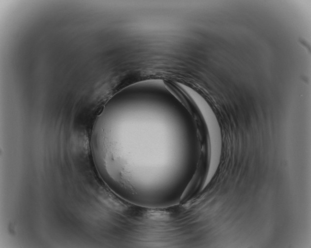 X0000096470617200801311535