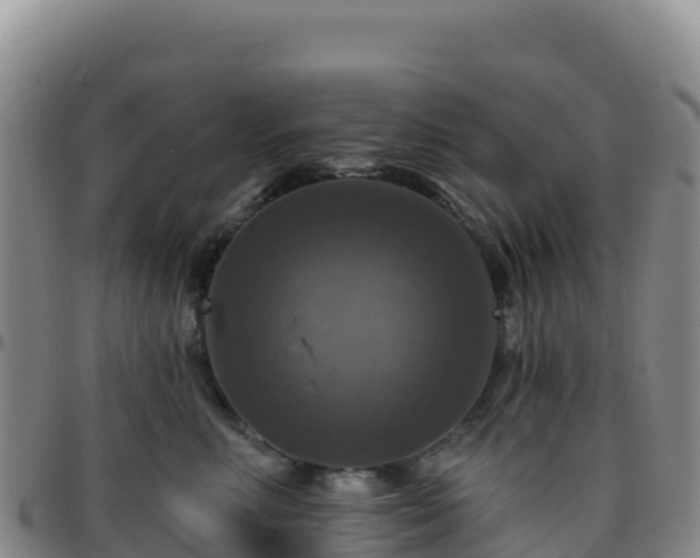 X0000096470618200801311535