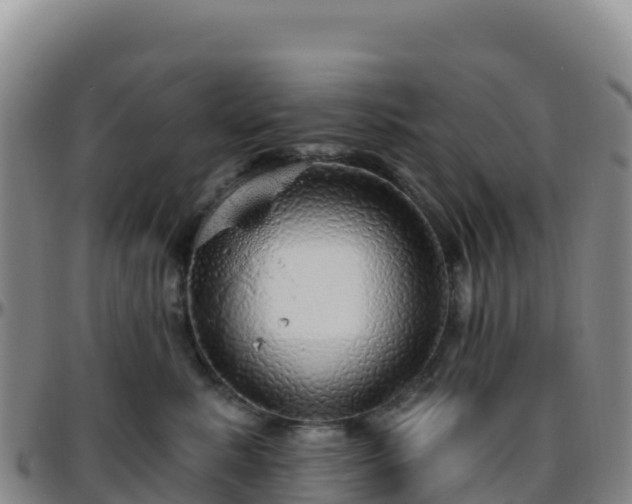 X0000096470619200801311535