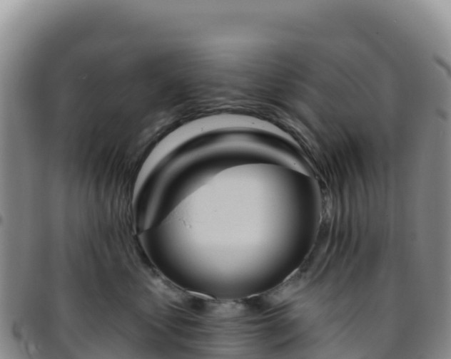 X0000096470621200801311535