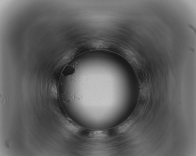 X0000096470622200801311535