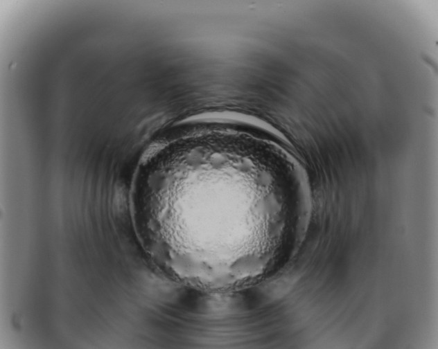 X0000096470623200801311535