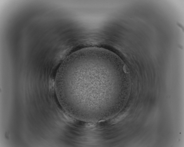 X0000096470624200801311535