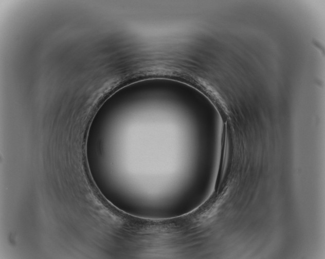 X0000096470625200801311535