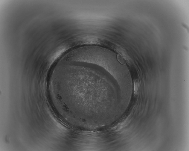 X0000096470627200801311535