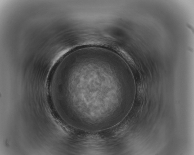 X0000096470628200801311535
