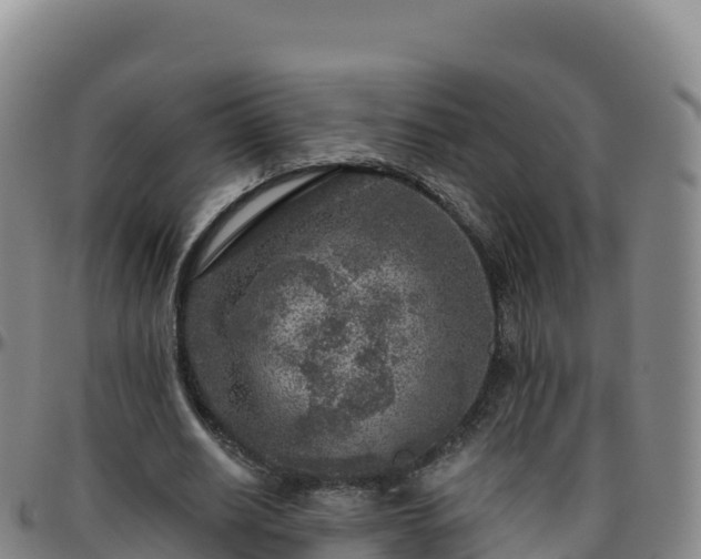 X0000096470630200801311535