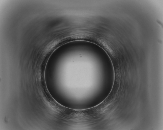 X0000096470631200801311535