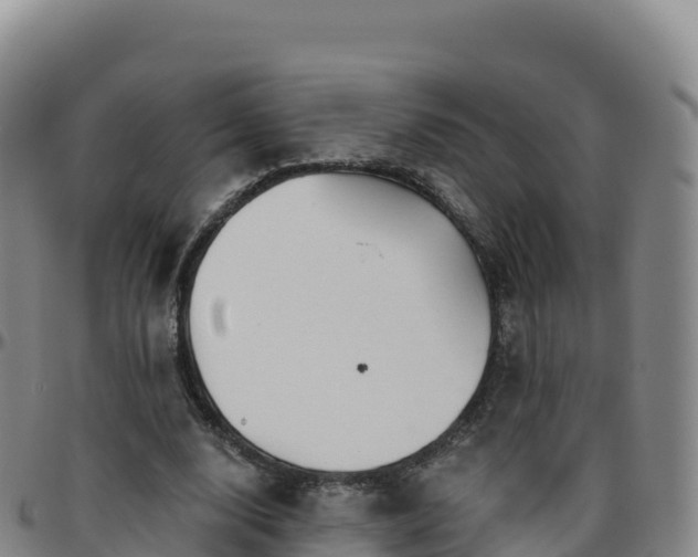 X0000096470632200801311535