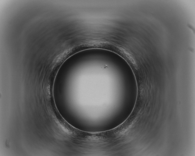 X0000096470633200801311535