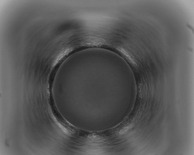 X0000096470634200801311535