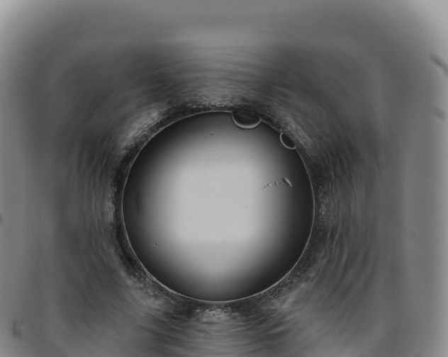 X0000096470635200801311535