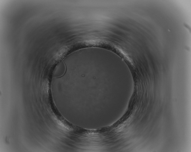 X0000096470637200801311535