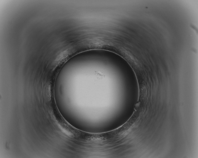 X0000096470638200801311535