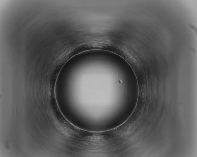 X0000096470639200801311535