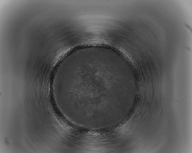 X0000096470640200801311535