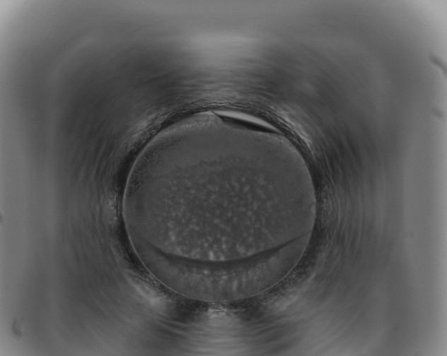 X0000096470641200801311535
