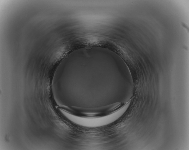 X0000096470642200801311535