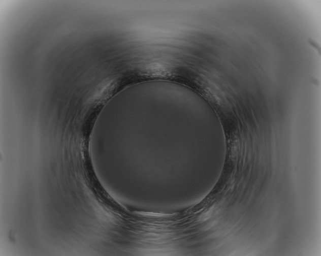 X0000096470643200801311535