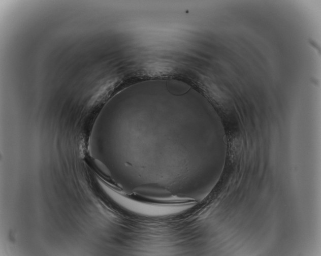 X0000096470644200801311535