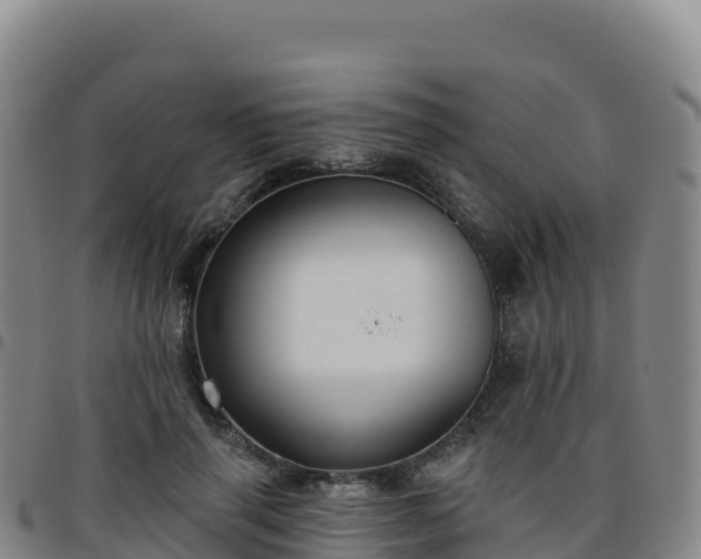 X0000096470645200801311535