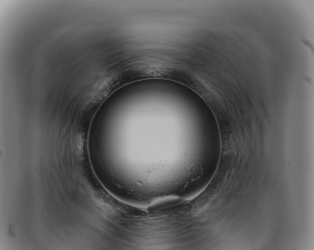 X0000096470646200801311535