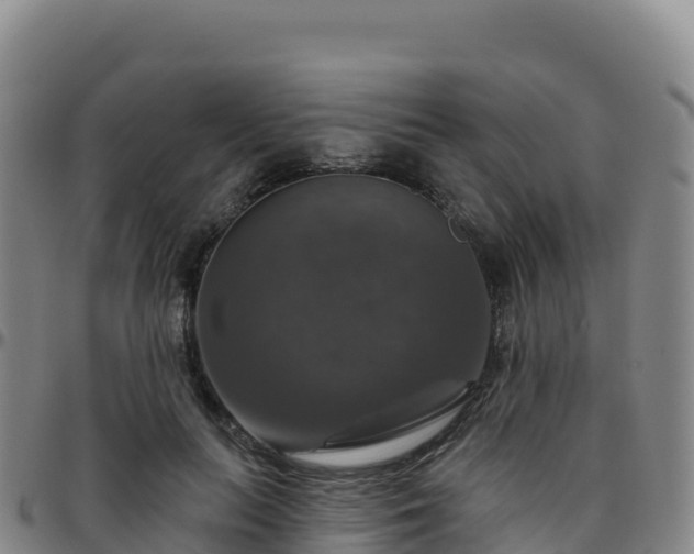 X0000096470647200801311535