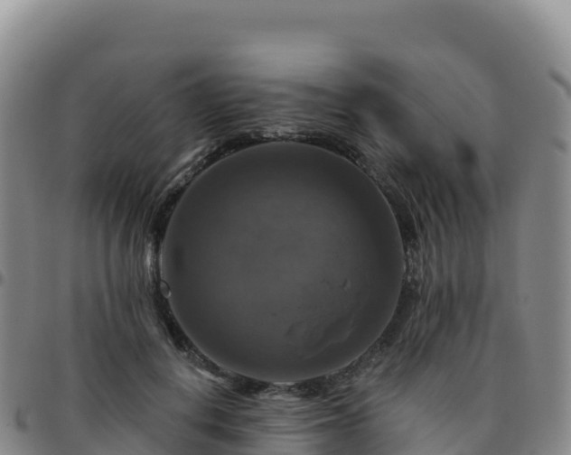 X0000096470648200801311535