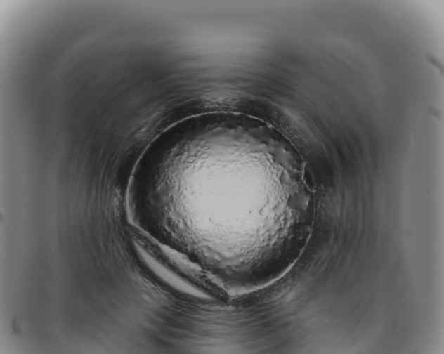 X0000096470649200801311535
