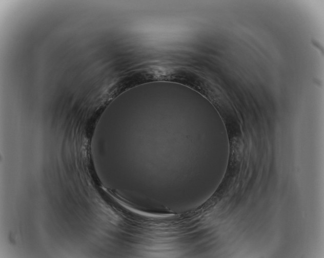 X0000096470650200801311535