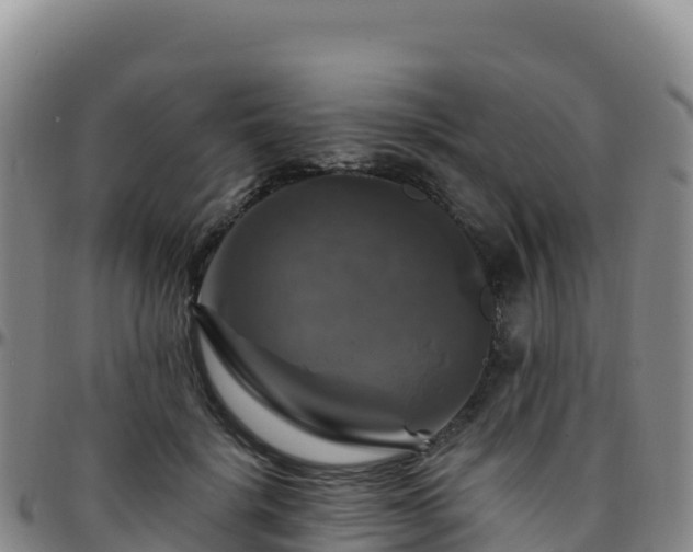 X0000096470652200801311535