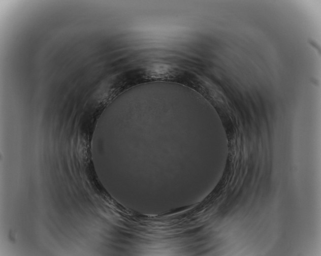 X0000096470653200801311535