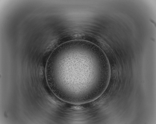 X0000096470654200801311535
