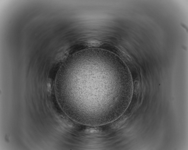 X0000096470655200801311535