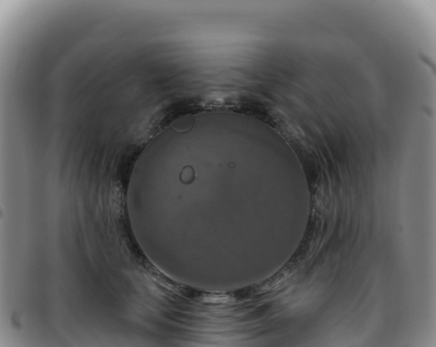 X0000096470659200801311535