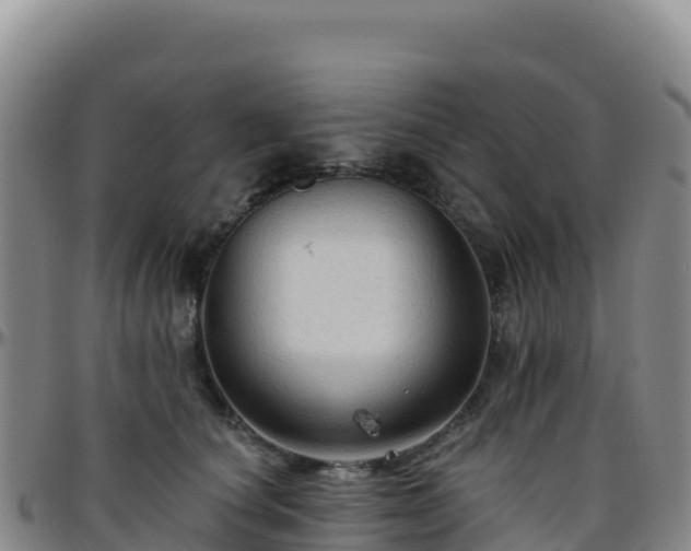 X0000096470660200801311535