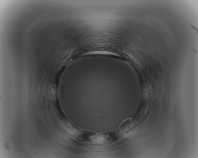 X0000096470661200801311535