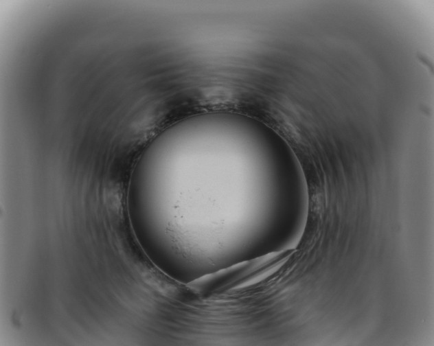 X0000096470662200801311535