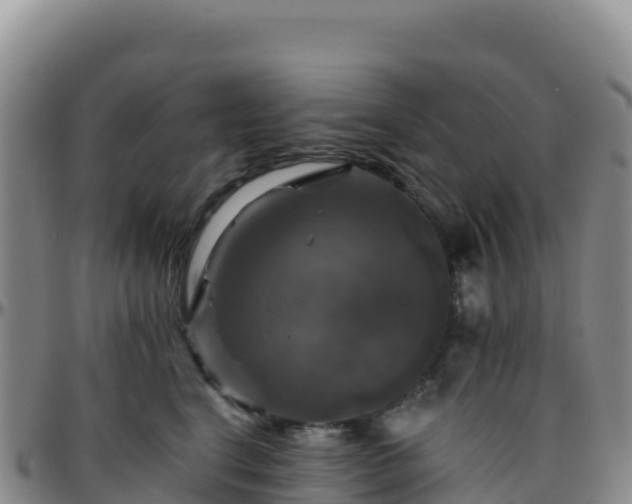X0000096470664200801311535