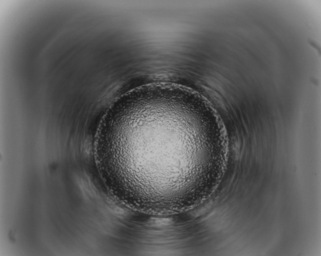 X0000096470665200801311535
