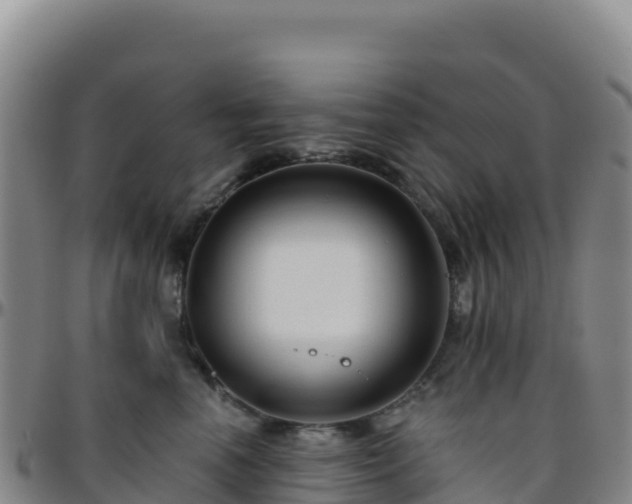 X0000096470666200801311535