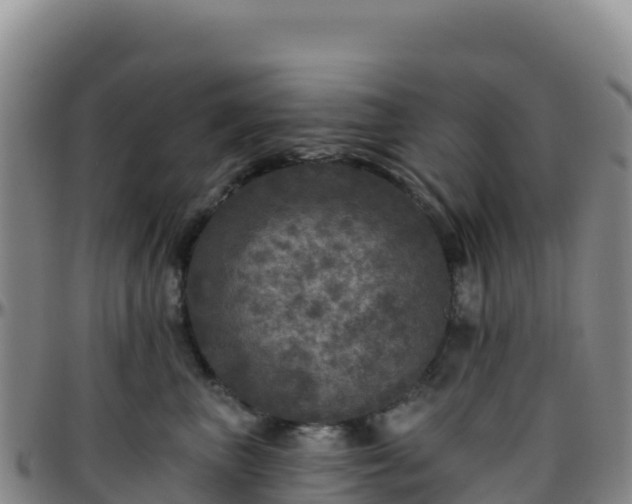 X0000096470667200801311535