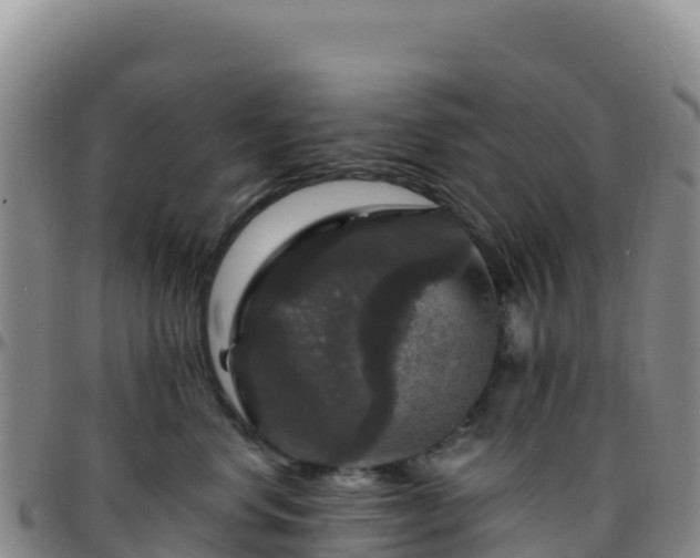 X0000096470668200801311535