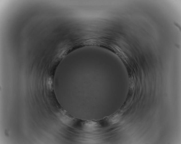 X0000096470669200801311535