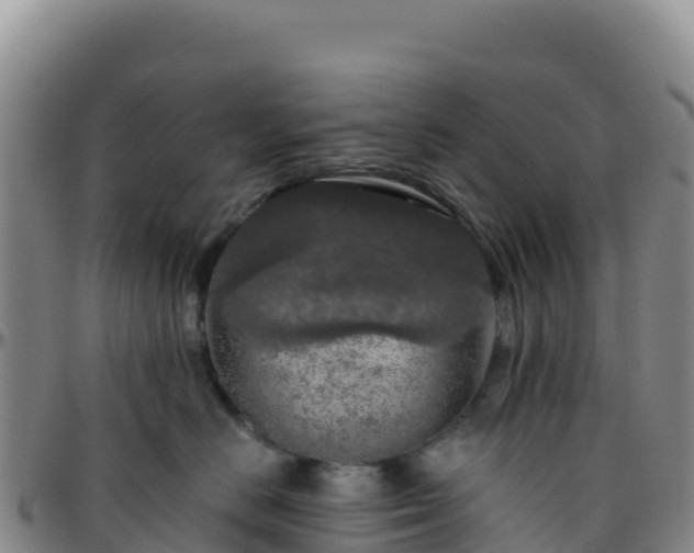 X0000096470670200801311535
