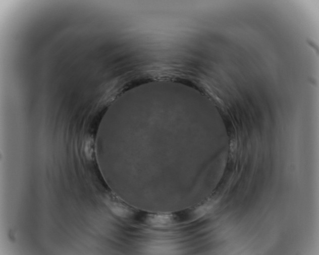 X0000096470671200801311535