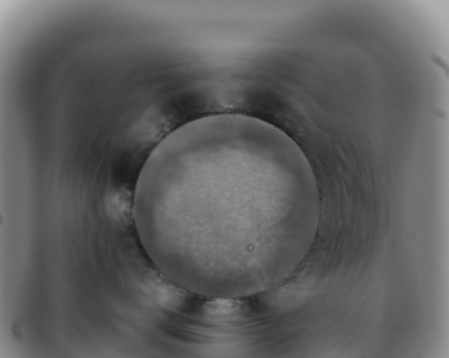 X0000096470672200801311535