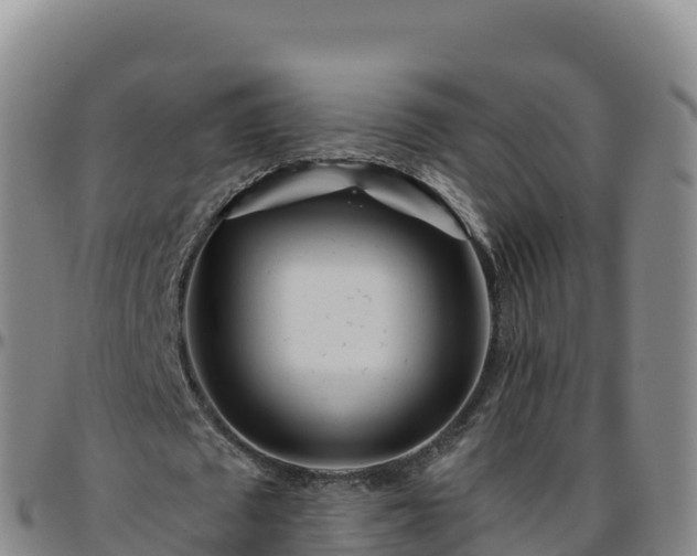 X0000096470673200801311535
