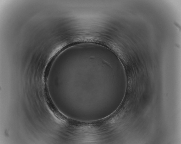 X0000096470674200801311535