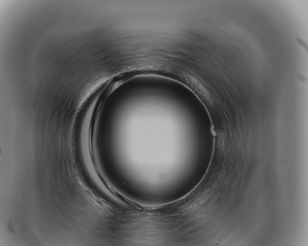X0000096470676200801311535